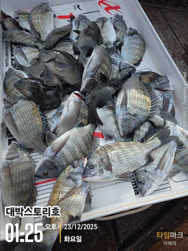 2025-12-23 01.25.46__(대박스토리호).jpg