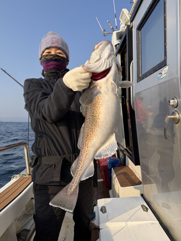 #에이스호#울진 #왕돌초 #빅게임 #왕대구 #대왕문어 #무늬오징어 #대광어 #볼락_사진_20251207_7.jpg