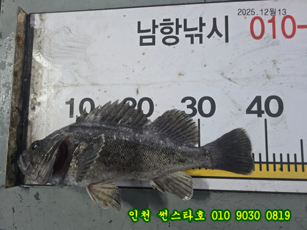 12월13 썬 (21).jpg