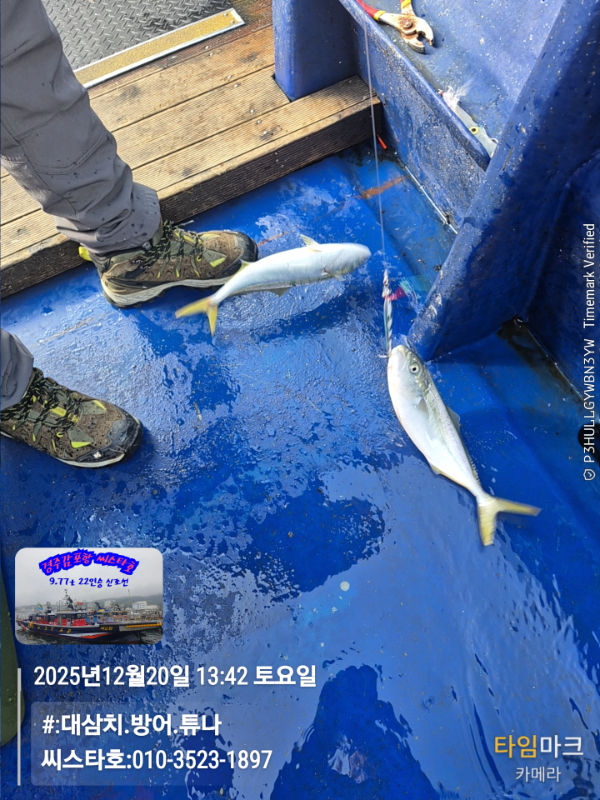 2025-12-20 13.42.59__(#-대삼치.방어.튜나)_(씨스타호-010-3523-1897).jpg