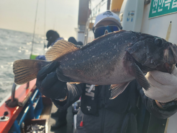 군산 선상낚시, 바다낚시 출조 전문 ☆서군산낚시☆_사진_20251210_14.jpg