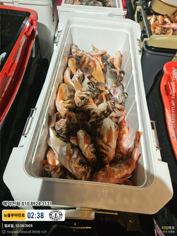 2025-12-28 02.38.11_대한민국_(제목-뉴블루마린호)_(예약전화 010 8924 3131).jpg