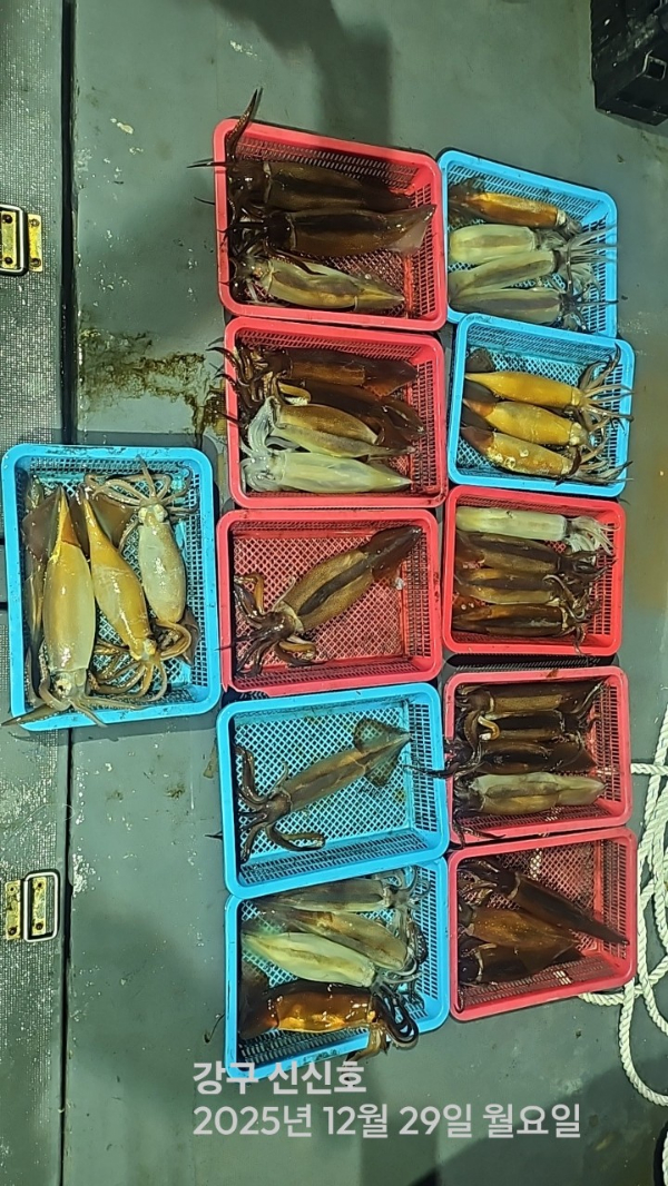 신신낚시 강구점 신신호_사진_20251230_16.jpg