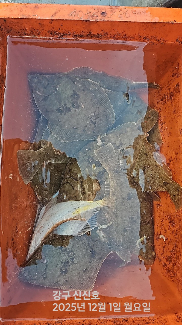 신신낚시 강구점 신신호_사진_20251201_15.jpg