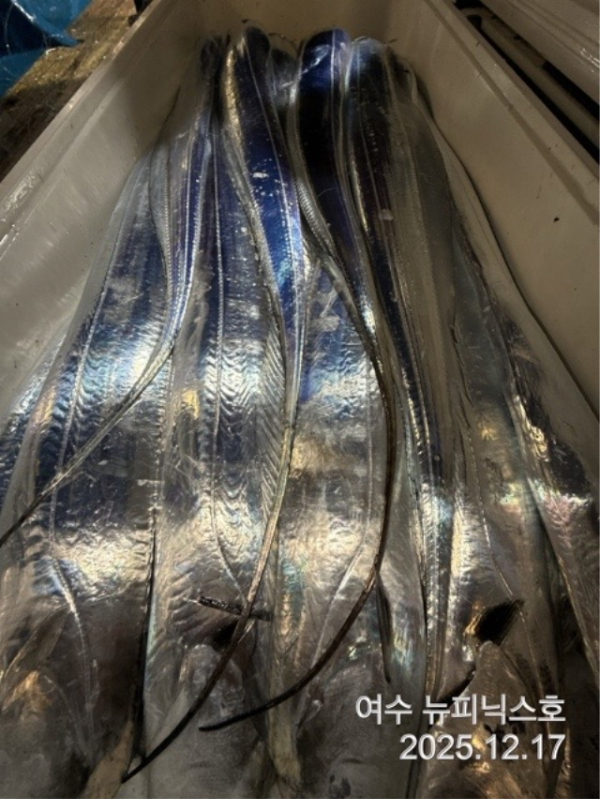 20912월17일대갈치 (63).jpg