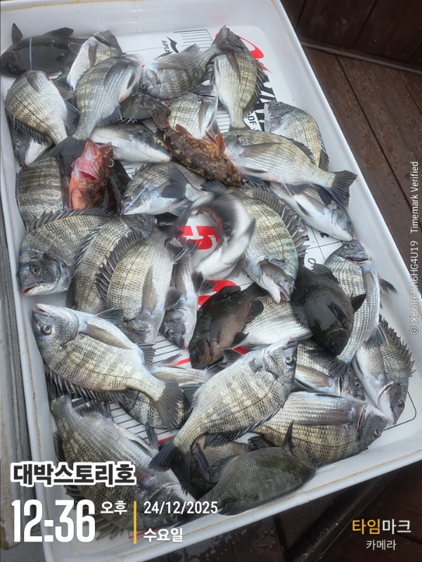 2025-12-24 12.36.33__(대박스토리호).jpg