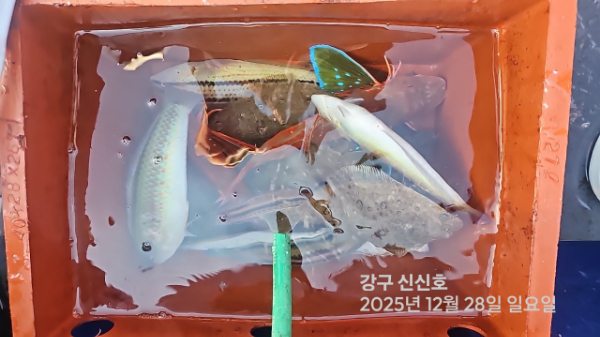 신신낚시 강구점 신신호_사진_20251228_7.jpg