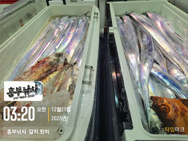 2025-12-21 03.20.54__(-흥부낚시  갈치.한치).jpg