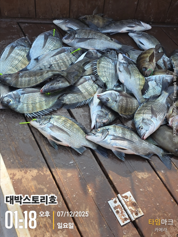 2025-12-07 01.18.12__(대박스토리호).jpg