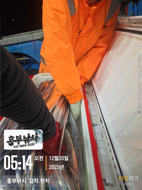 2025-12-20 05.14.56__(-흥부낚시  갈치.한치).jpg