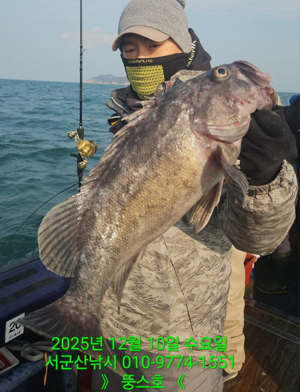 군산 선상낚시, 바다낚시 출조 전문 ☆서군산낚시☆_사진_20251210_11.jpg
