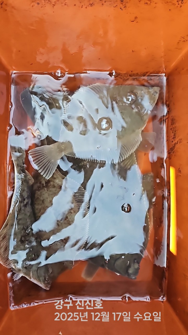 신신낚시 강구점 신신호_사진_20251217_8.jpg
