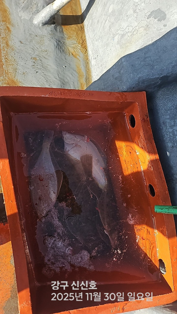 신신낚시 강구점 신신호_사진_20251130_11.jpg