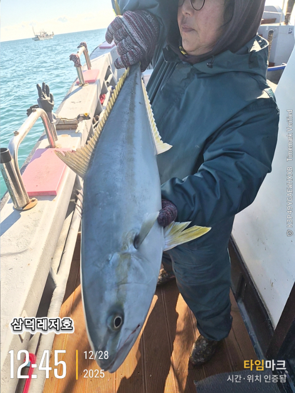 2025-12-28 12.45.48_.jpg