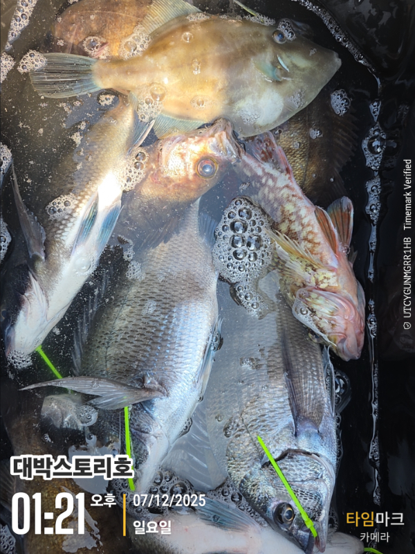 2025-12-07 01.21.32__(대박스토리호).jpg