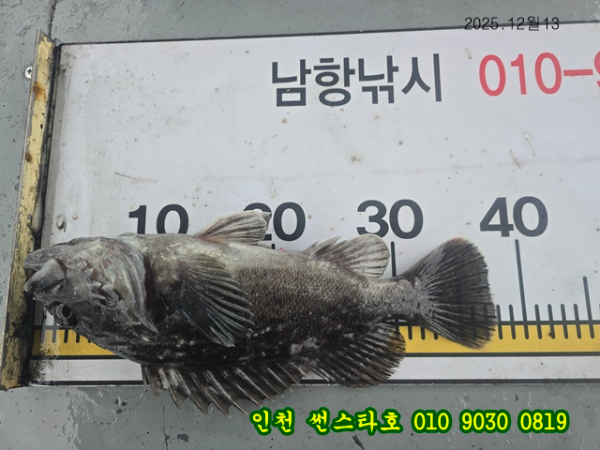 12월13 썬 (28).jpg