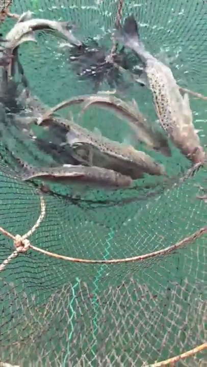 2025_12_02 19_38(1).jpg