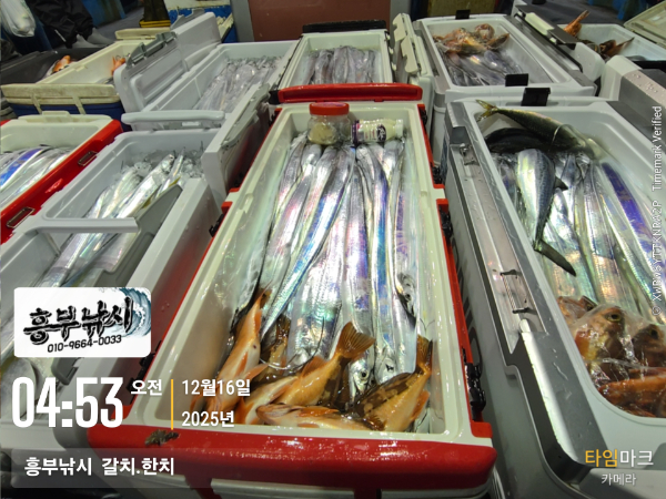 2025-12-16 04.53.46__(-흥부낚시  갈치.한치).jpg