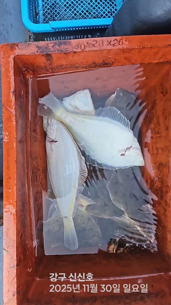 신신낚시 강구점 신신호_사진_20251130_13.jpg