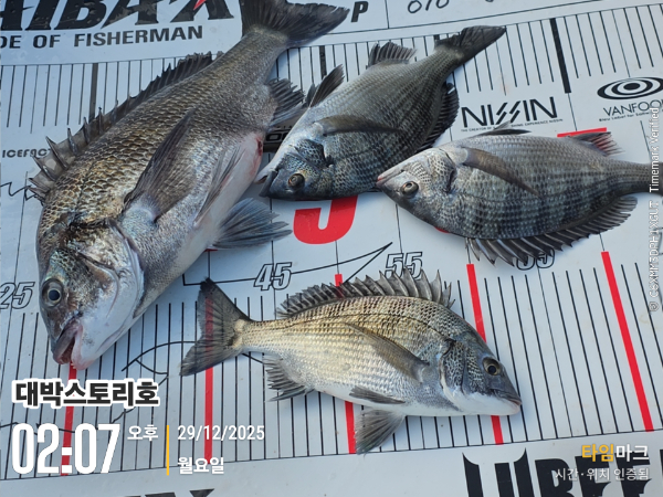 2025-12-29 02.07.37__(대박스토리호).jpg