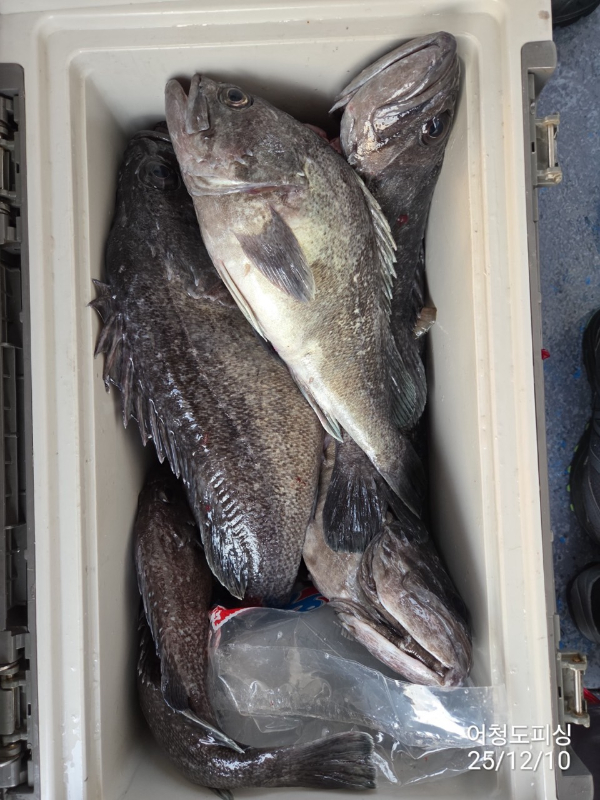 최강피싱 063.463.0800_사진_20251211_35 - 복사본.jpg