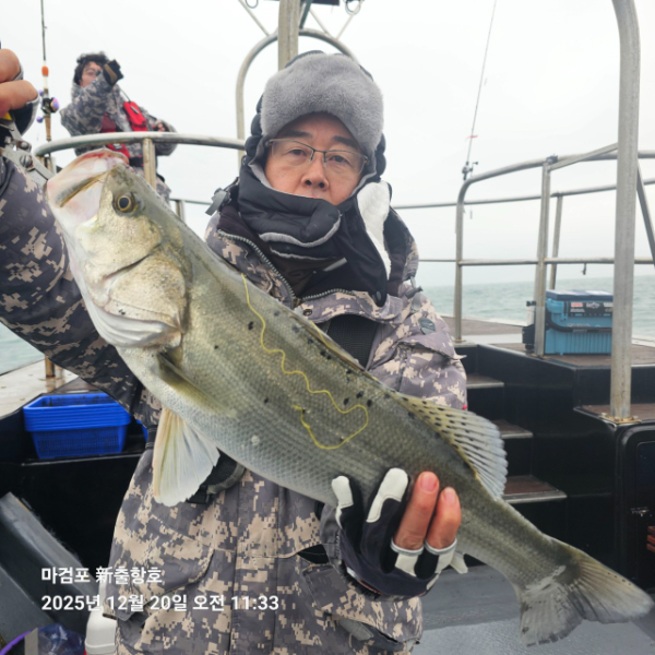 ꫛꫀꪝ✧‧˚ 태안 마검포 新출항호 .• _˚☀₊_사진_20251220_22.jpg