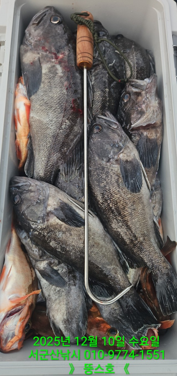군산 선상낚시, 바다낚시 출조 전문 ☆서군산낚시☆_사진_20251210_14.jpg