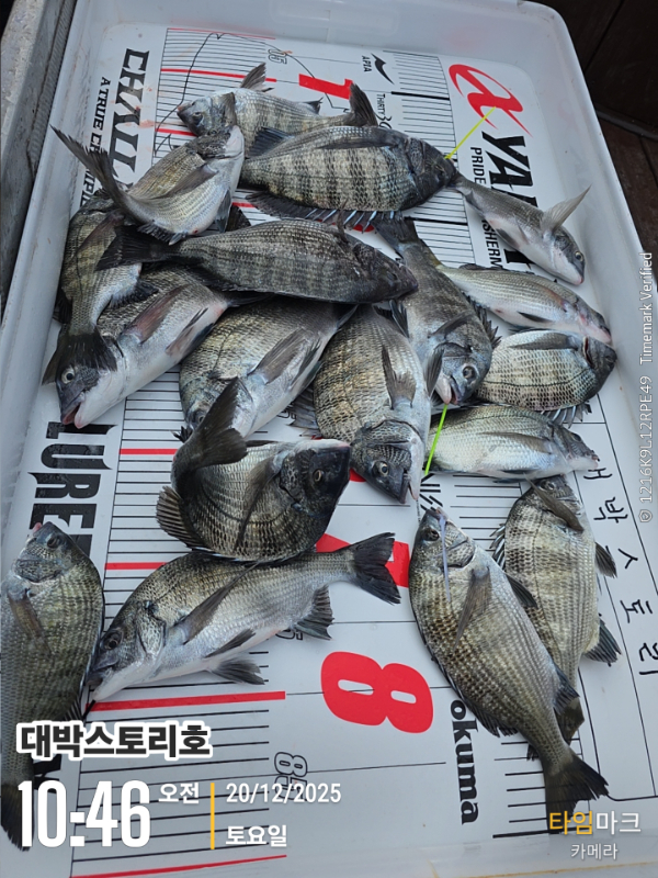 2025-12-20 10.46.16__(대박스토리호).jpg