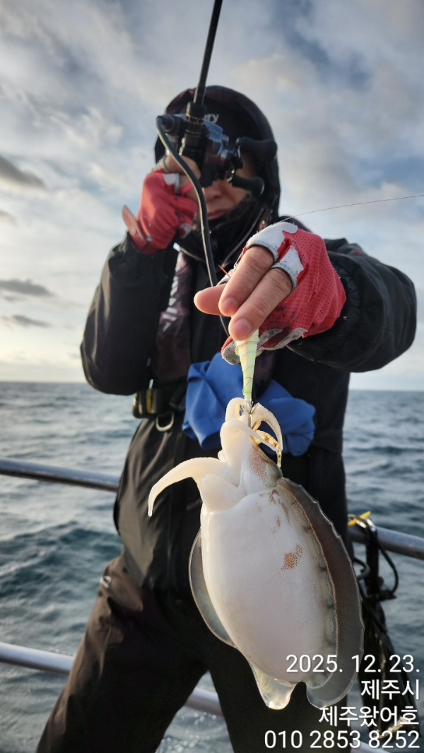제주왔어호_사진_20251223_6.jpg