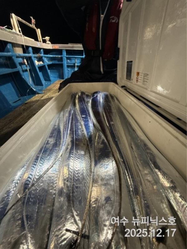 12월17일왕갈치 (7).jpg