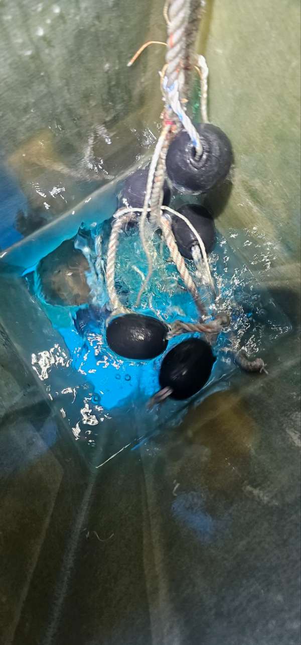 거제도 구조라  뉴아라호 (지깅, 파핑,한치,갈치,타이바라 전문)_사진_20251223_9.jpg