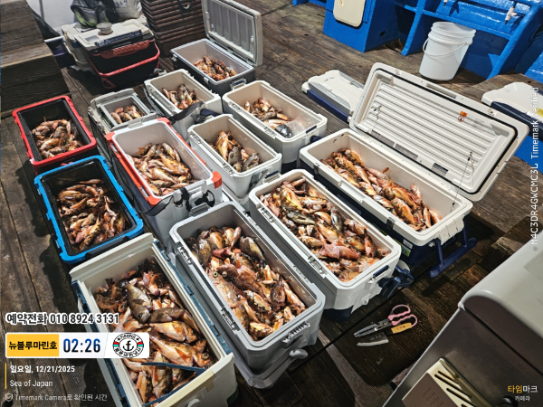 2025-12-21 02.26.26_Japan_(제목-뉴블루마린호)_(예약전화 010 8924 3131).jpg