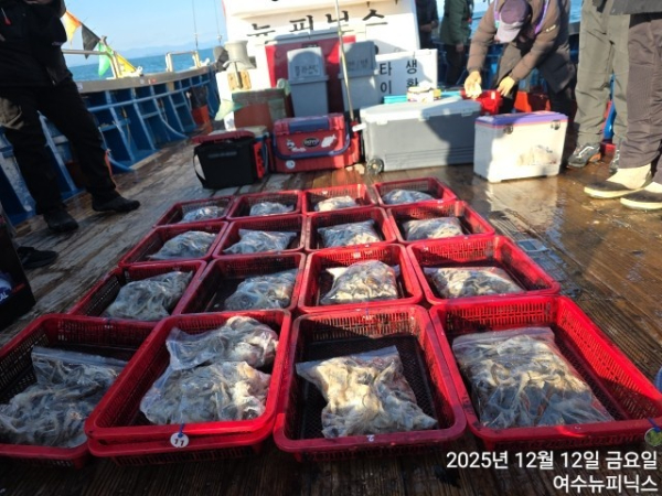 12일왕쭈꾸미 (33).jpg