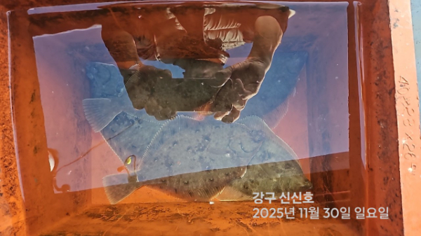 신신낚시 강구점 신신호_사진_20251130_18.jpg