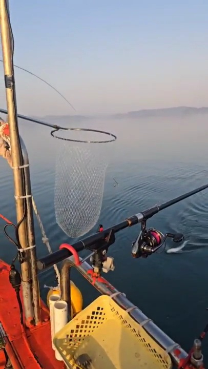 2025_12_02 19_38 (2)(2).jpg