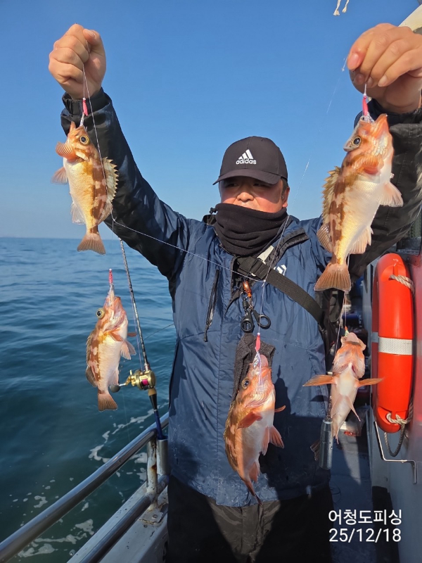 최강피싱 063.463.0800_사진_20251219_29.jpg