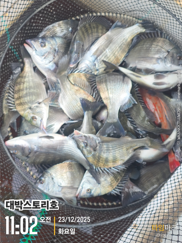2025-12-23 11.02.36__(대박스토리호).jpg