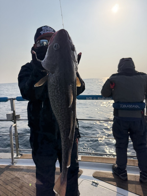 #에이스호#울진 #왕돌초 #빅게임 #왕대구 #대왕문어 #무늬오징어 #대광어 #볼락_사진_20251207_9.jpg