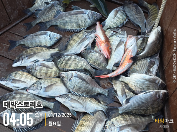 2025-12-01 04.05.30__(대박스토리호).jpg