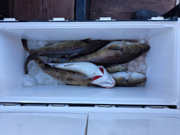 BandPhoto_2025_12_10_12_26_14 (1).jpg