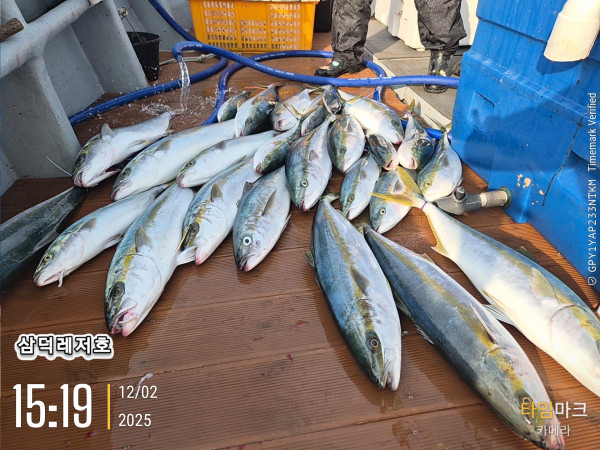 2025-12-02 15.19.54_.jpg