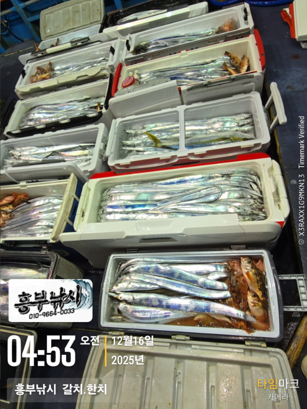 2025-12-16 04.53.35__(-흥부낚시  갈치.한치).jpg