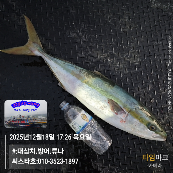 2025-12-18 17.26.19__(#-대삼치.방어.튜나)_(씨스타호-010-3523-1897).jpg
