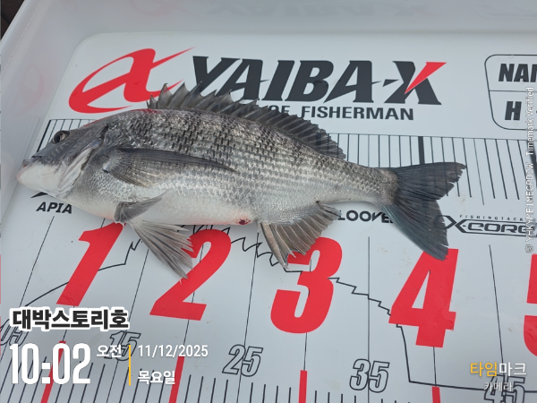 2025-12-11 10.02.34__(대박스토리호).jpg
