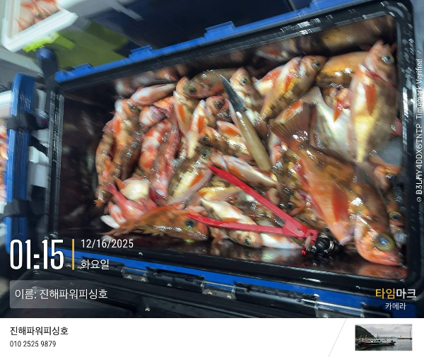 2025-12-16 01.15.19_(이름-진해파워피싱호).jpeg