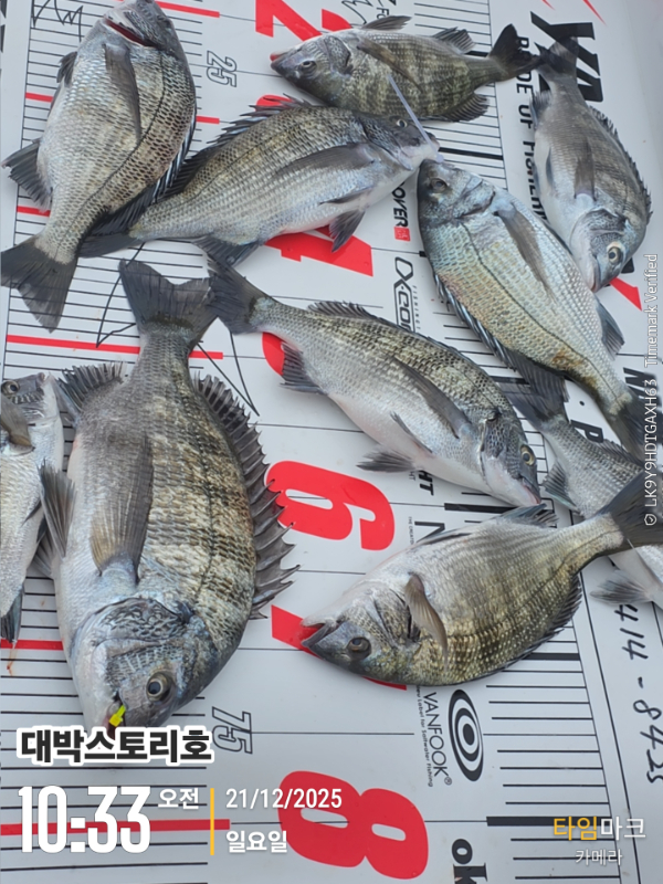 2025-12-21 10.33.09__(대박스토리호).jpg