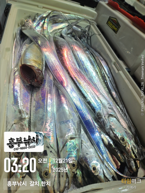 2025-12-21 03.20.43__(-흥부낚시  갈치.한치).jpg