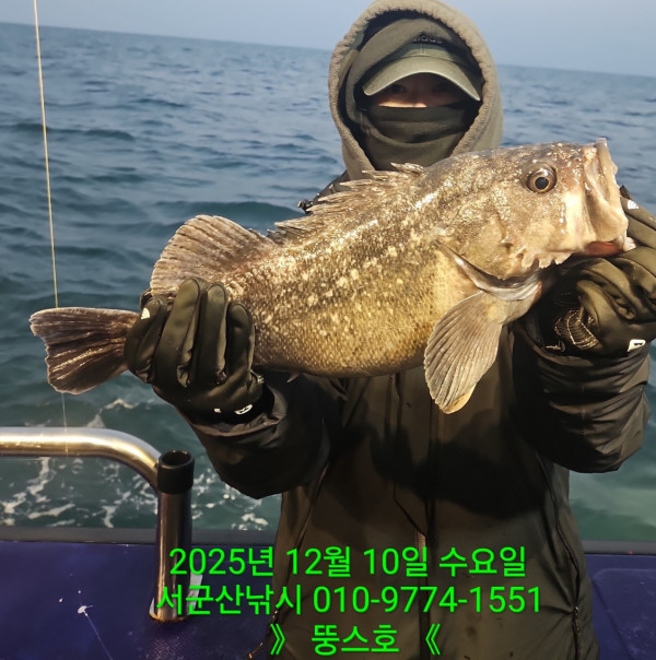 군산 선상낚시, 바다낚시 출조 전문 ☆서군산낚시☆_사진_20251210_6.jpg
