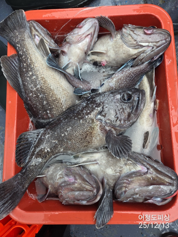 최강피싱 063.463.0800_사진_20251213_35.jpg