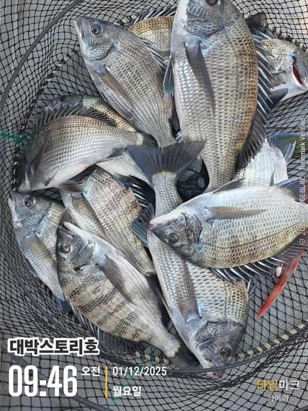 2025-12-01 09.46.11__(대박스토리호).jpg